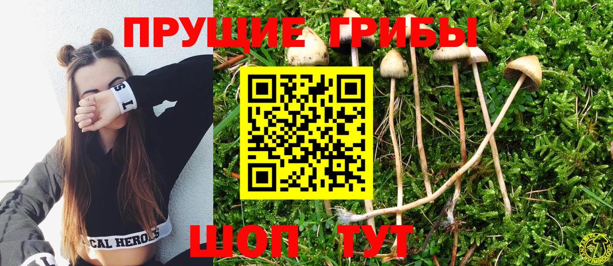 Псилоцибиновые грибы мицелий Урай