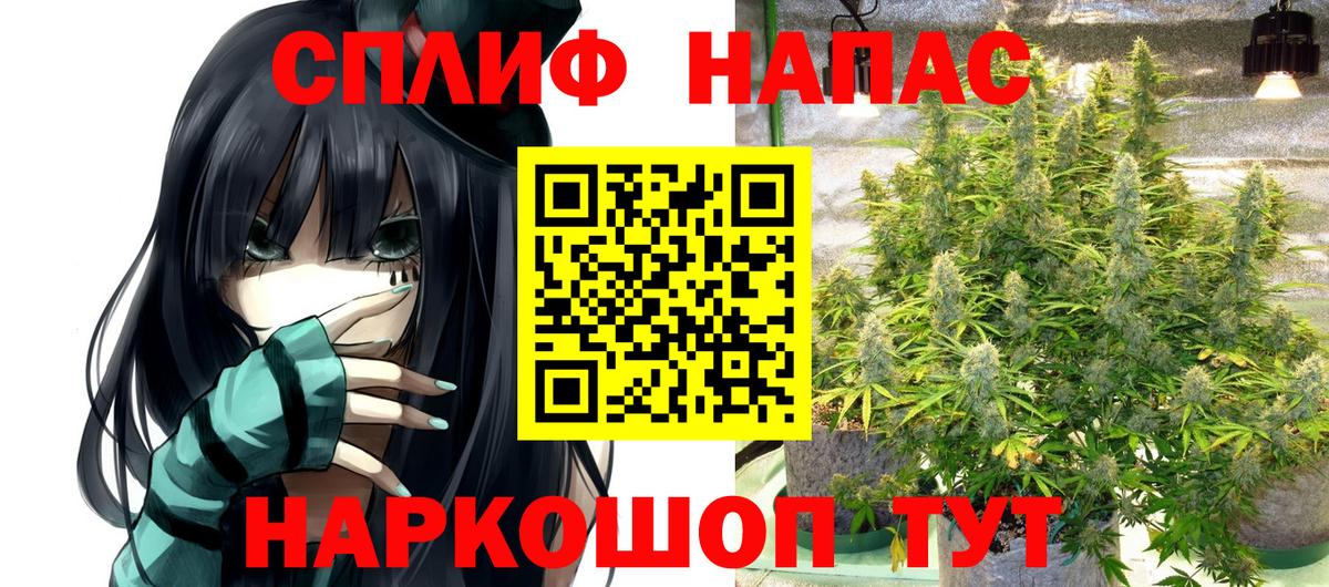 Каннабис индика Урай